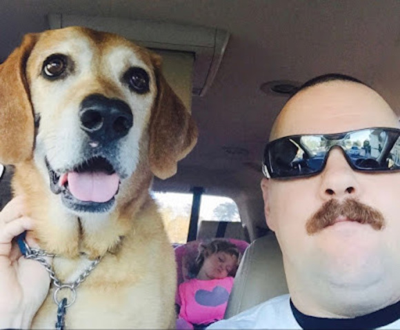 Meet your Posher, Billy - Picture 1 of 1